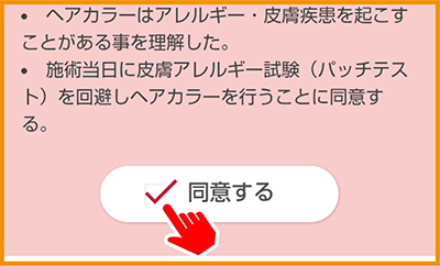 同意事項確認画面